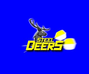 Read more about the article 24.3.2023 Steel Deers 3 unterliegen Spitzenreiter Hollfeld, während Team 2 im Pokal siegt